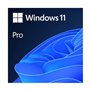 Microsoft Windows 11 Professional Licença OEM - ESD